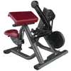 sports fitness/ FW5-001Biceps Curl/Free Weight Gym Equipment/commercial gym