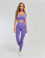 

Women Bra Panty Sportswear Exercise Athletic Gym Clothing Seamless Yoga Bra And Legging Set Yoga Set