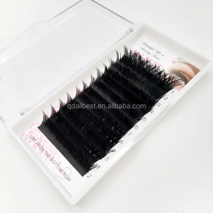 V eyelash (1).jpg