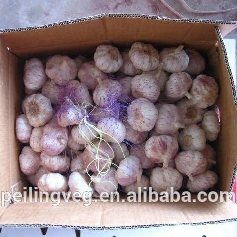 
Fresh garlic China factory 2018 