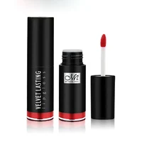 

Menow Pro Cosmetics L16004 Velvet Kissproof Matte Lip Gloss