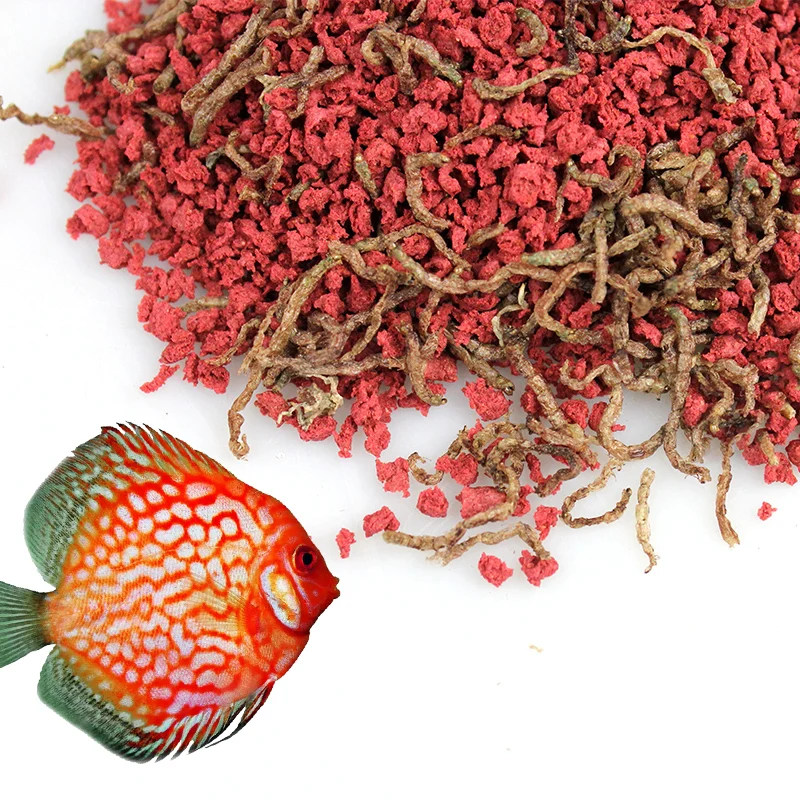 Bits for discus with bloodworm freeze dried bloodworm discus food