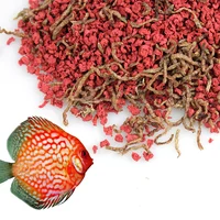 

Bits for discus with bloodworm freeze dried bloodworm discus food