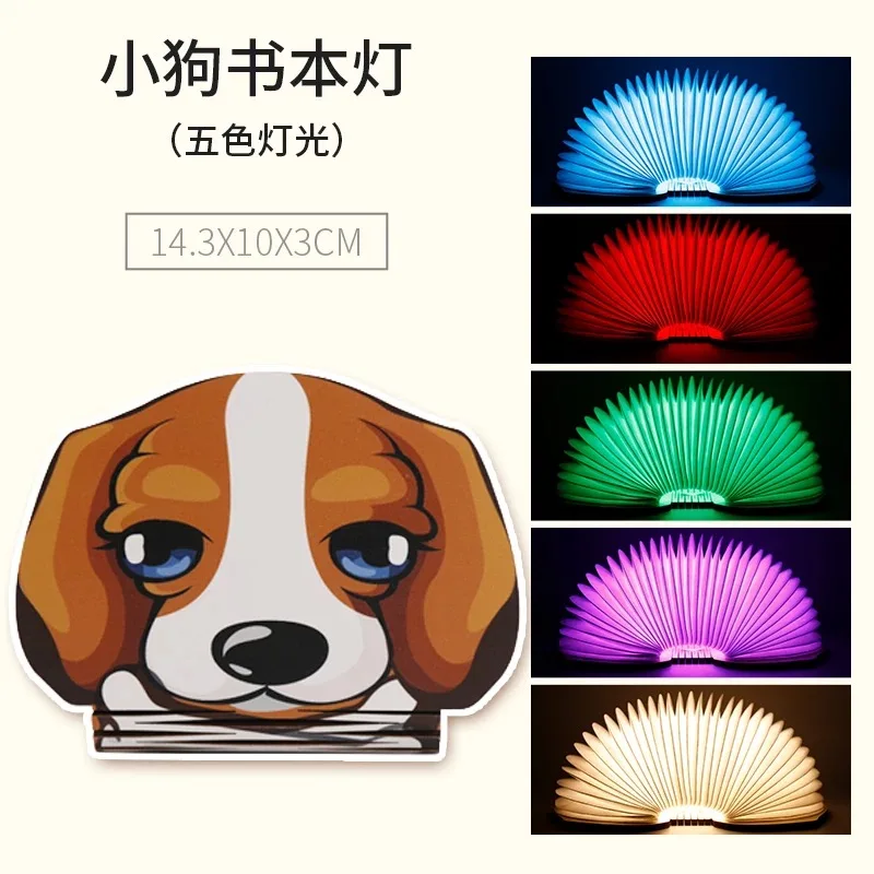BOOK LIGHT 013