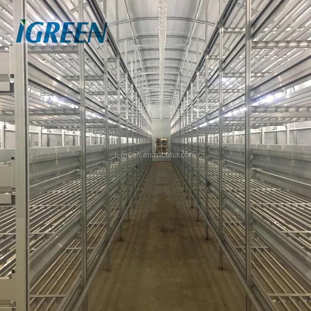 Indoor Mushroom Growing System Buy Multilayer Mushroom Growing