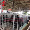 Professional poultry battery broiler meat cages chicken automatic system 96 layers nipple cup cage with great price