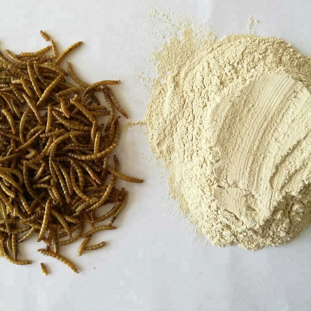 High Protein Dried Mealworm Powder For Lizard Feed Additives Buy