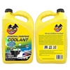 Car Cooling System Anti-rust Antifreeze Radiator Coolant