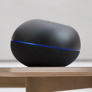 Smart Speaker Direct Voice Control