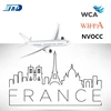China freight forwarding air shipping from Shanghai to Lyon France