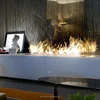 2018 Automatic Bio Ethanol Burner with Remote Control- Art Fire
