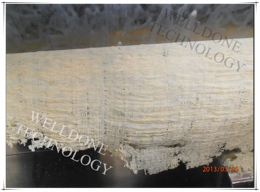 
GT Brewers Waste Yeast Dryer 