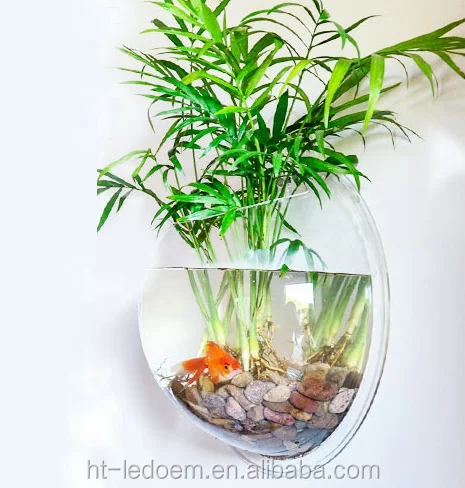 

Best products heart shaped acrylic fish bowl my orders with alibaba, Transparent