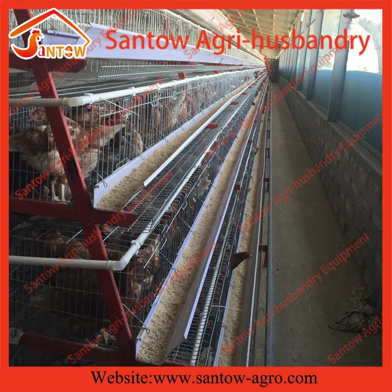 Hot Galvanized Multi Stacking Commercial Chicken Layer House Metal