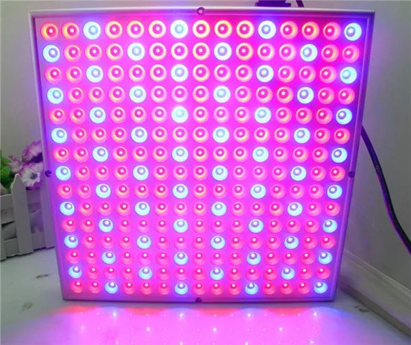 Full Spectrum 45W  Led Grow Light For Fruits Vegetables Horticulture Hydroponic