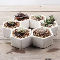 

Wholesale small white hexagon ceramic flower pots for succulent plants