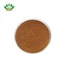 Ginger Extract 10% 15% 20% Gingerols Powder