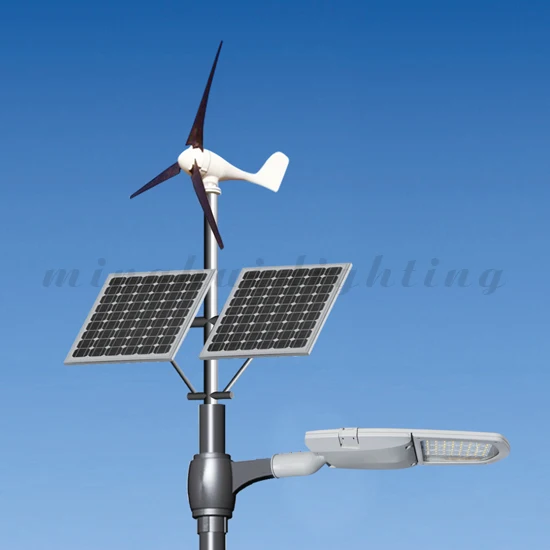 Hot sale 100W solar windmill street light with pole