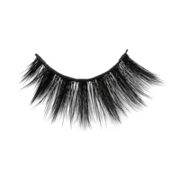 

Free Shipping Wholesale Worldbeauty Korea Silk Adhesive False False Eyelashes