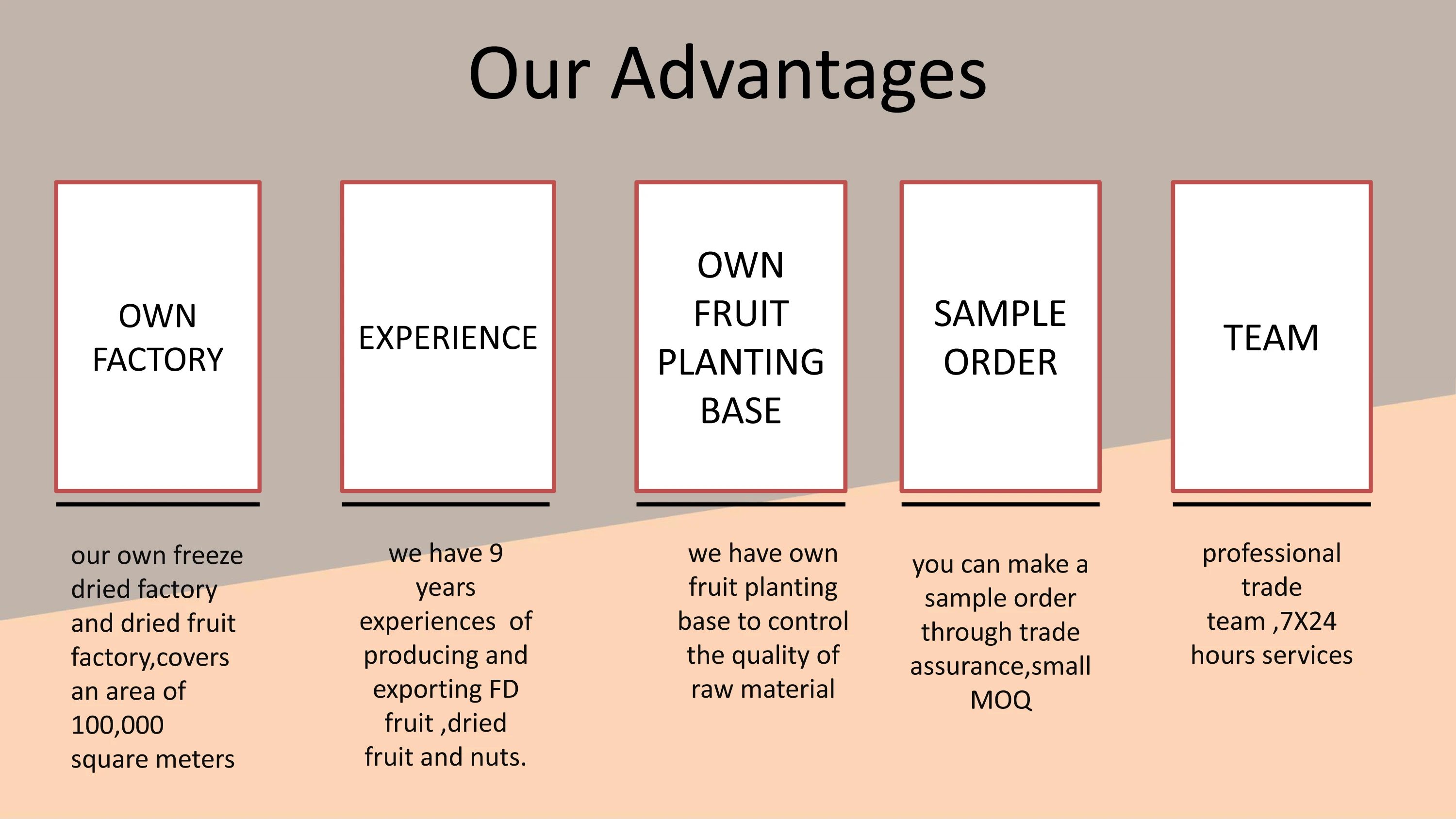 freeze dry fruit jujube freeze-dried dates