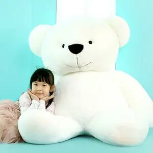 korean teddy bear brand