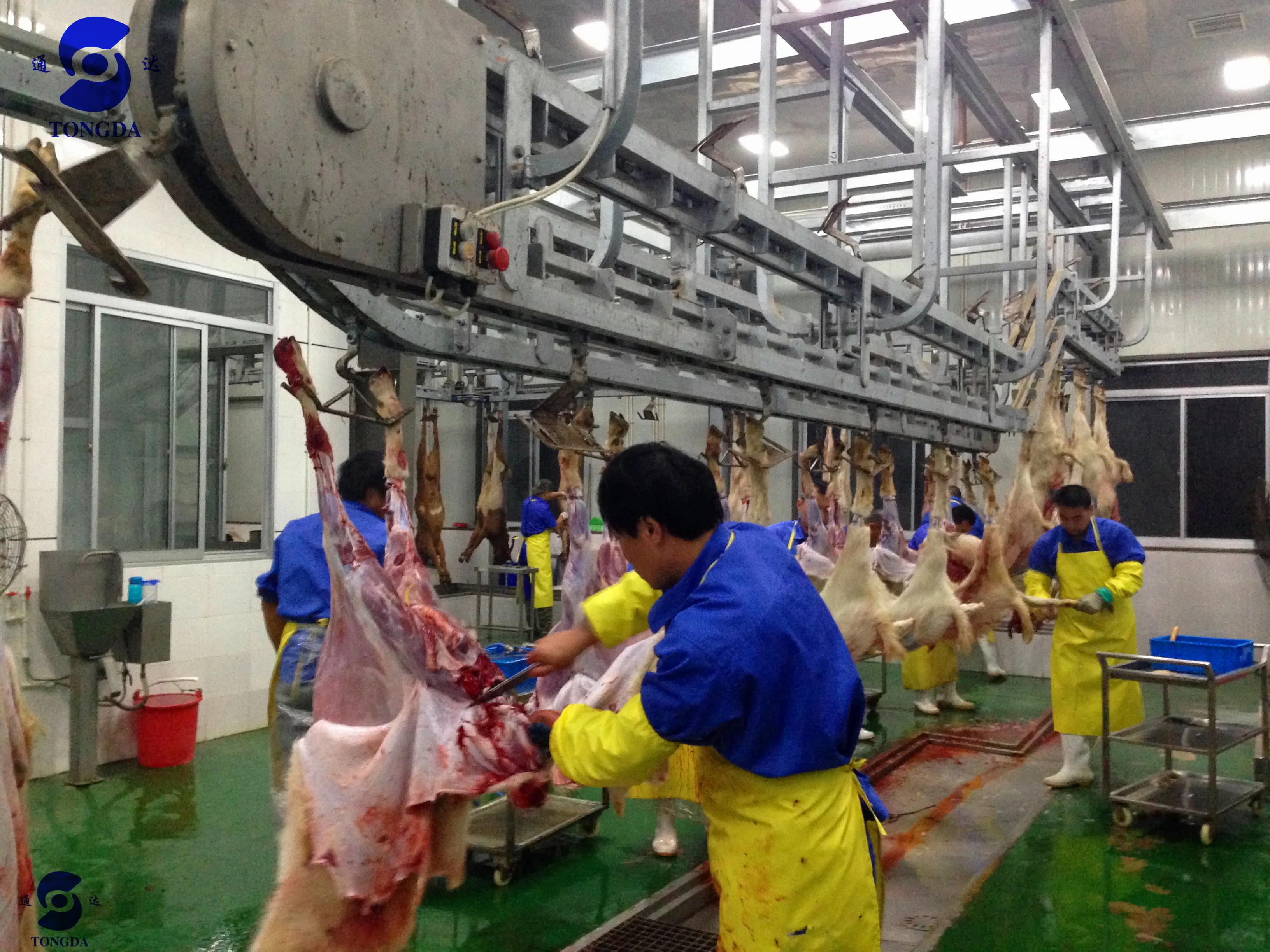 Cattle And Sheep Slaughter Equipment For Cattle Slaughterhouse Buy Cattle Slaughterhouse