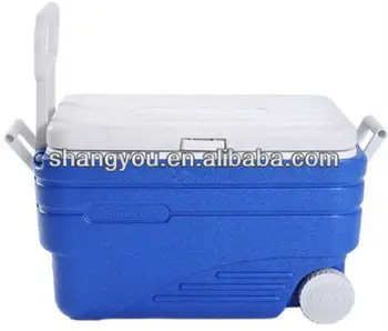 100l ice box