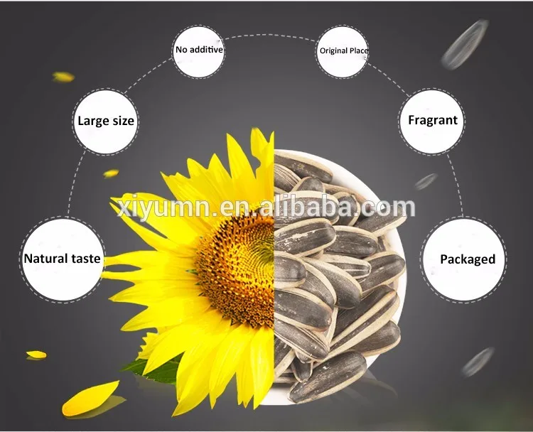 sunflower seed