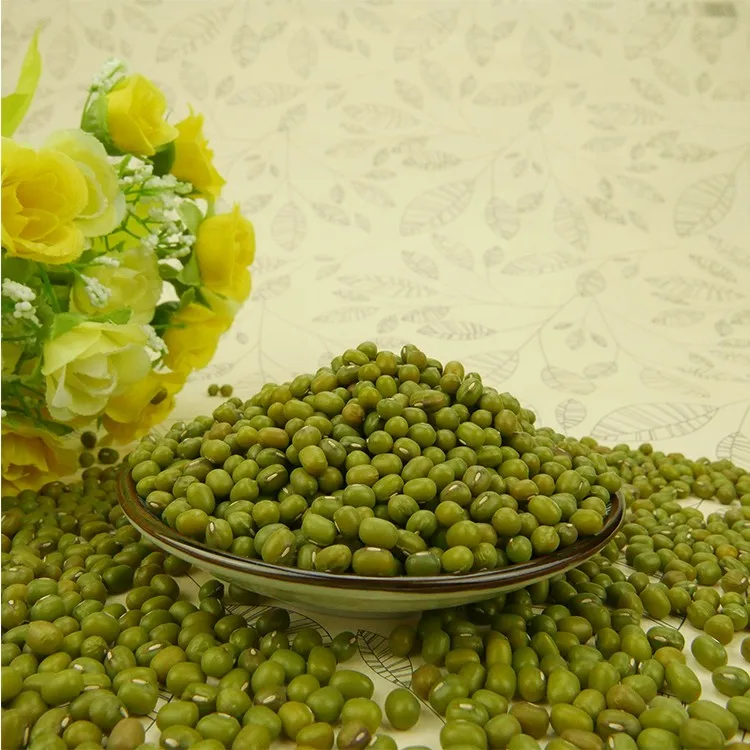 
High Sprouting Rate SMALL Green mung beans For Sale  (1489402825)