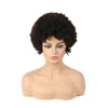 High Quality South Africa Natural Afro Kinky Curl Human Hair Lace Front Wig for Black Women