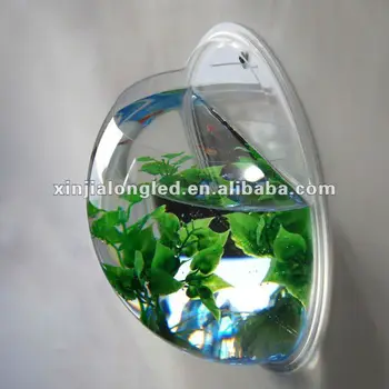 4200 Desain Interior Aquarium Dinding Gratis Terbaik