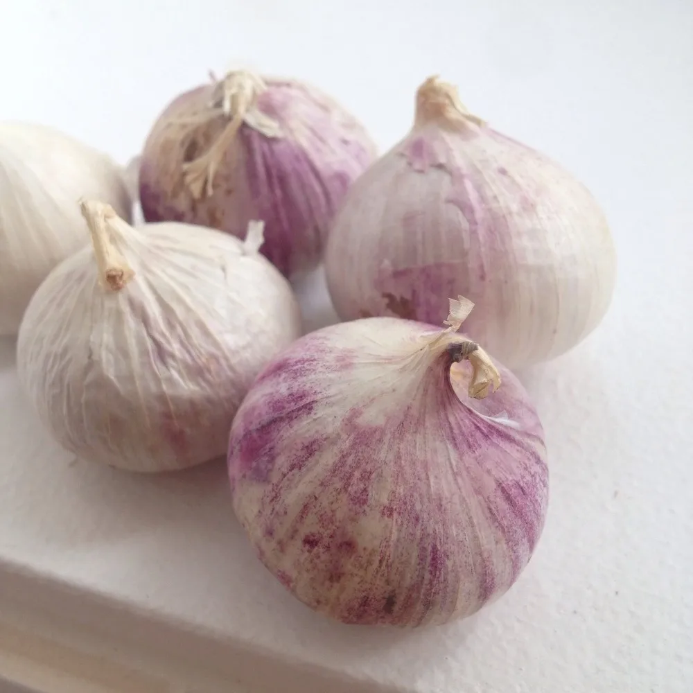 2017 LOW price chinese IQF solo garlic fresh&frozen wholesale