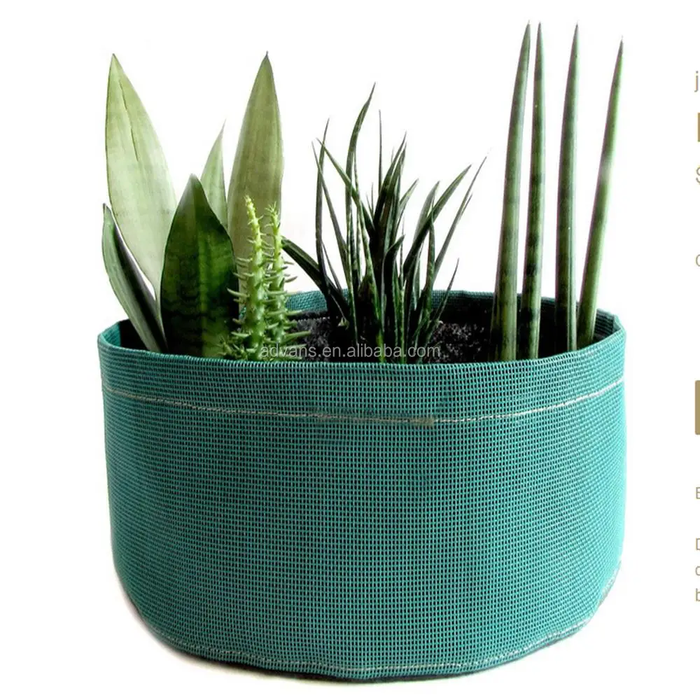 Round plant bag green.jpg