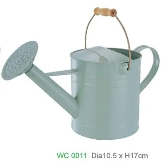 Metal Dual Actional Watering Can With Removable Threaded Shower Head Perfect For Garden Horticultural Cultivation Maintenance Cans Metal Dual Actional Watering Can With Removable Threaded Shower Head Perfect For Garden Horticultural Cultivation Maintenance Cans