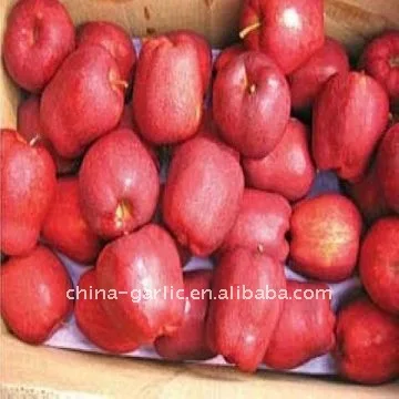 huaniu apple (5)