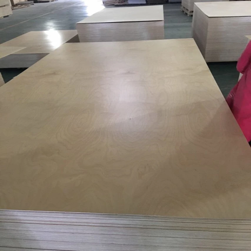 18mm Laminated Uv Lacquered Birch Plywood Buy Birch Plywood 18mm,Uv