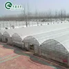 India Locking Channel Pe Plastic Greenhouse With Rolling Bench