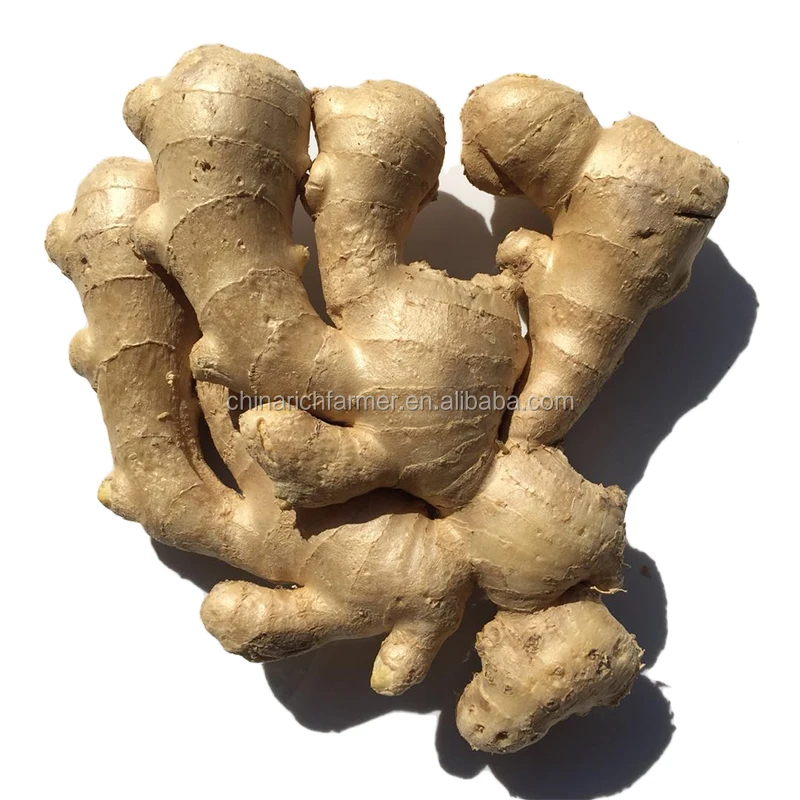 250g Bulk Air Dry Ginger Price