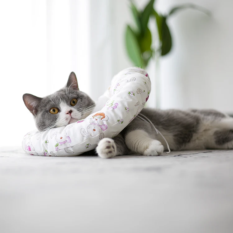 
Waterproof PP Cotton Anti Biting Surgical Neck Collar Postoperative Dog Pet Cat Elizabeth Neck Collar pet dog elizabeth collar 