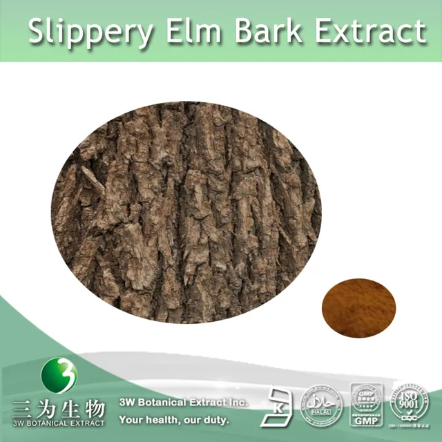 free sample slippery elm bark powder,slippery elm bark extract