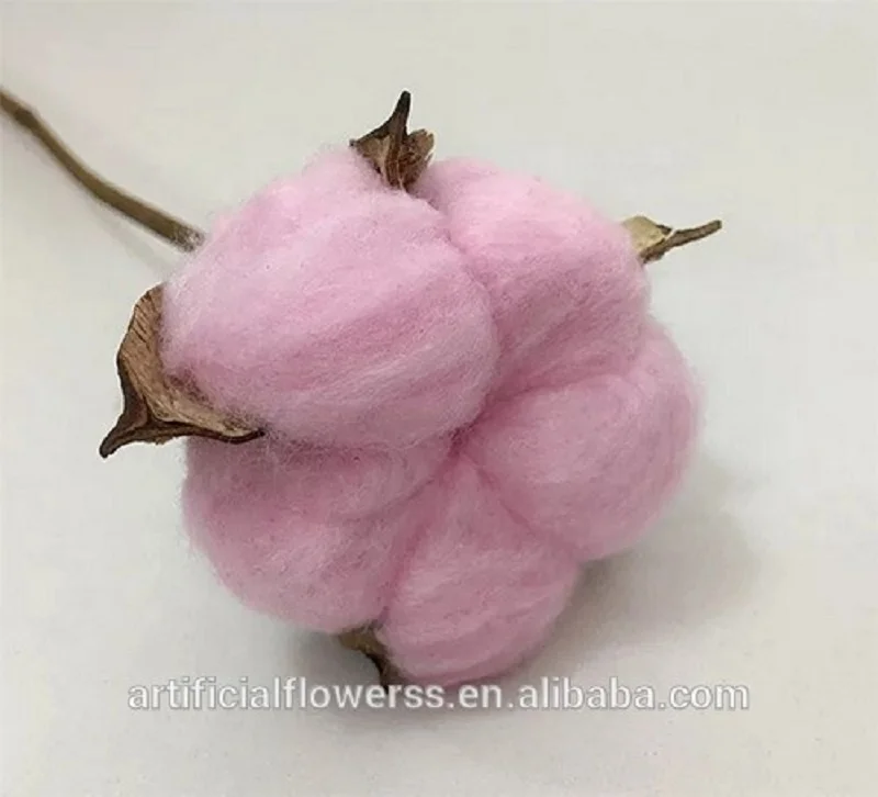 Cotton-Flower (4).jpg
