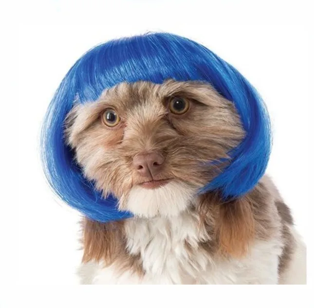 かわいいカワイイペット犬猫素敵なコスチュームブルーボブ犬のかつら Buy ボブ犬かつら 青bob犬かつら Product On Alibaba Com