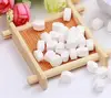 bulk mints oem mints wholesale mints