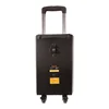 SANSUI SG2-10 power 10 inch trolley pro audio wireless speaker