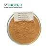 Free Sample Red Dates Powder Bulk, Chinese Dates Powder