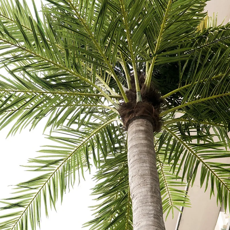 Customize Large Fiber 10.5m Height Artificial Straight Coconut Tree