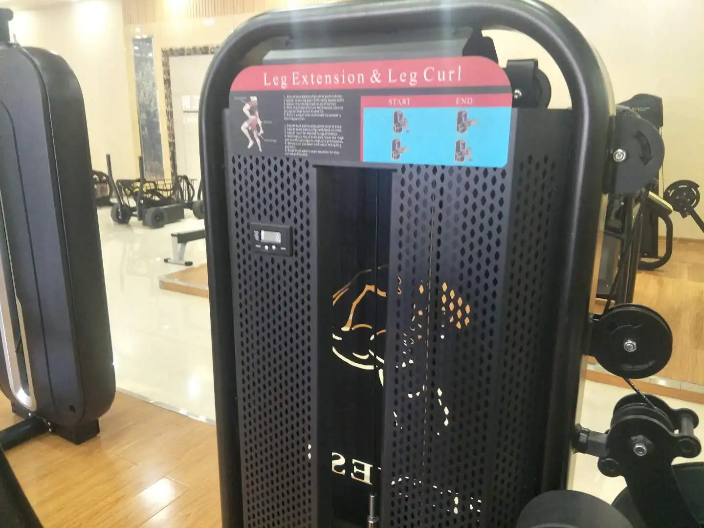 leg curl leg extension (4).jpg