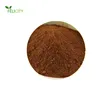 Shitake Mushroom Extract Lentinan Powder