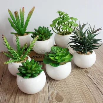 Yiwu Zero Small Succulent Pots Artificial Mini Cactus Yiwu Zero Small Succulent Pots Artificial Mini Cactus Plants