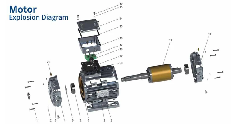 Motor Structure Diagram.jpg